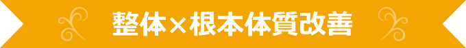 整体×根本体質改善