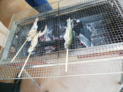 ニジマスの塩焼き