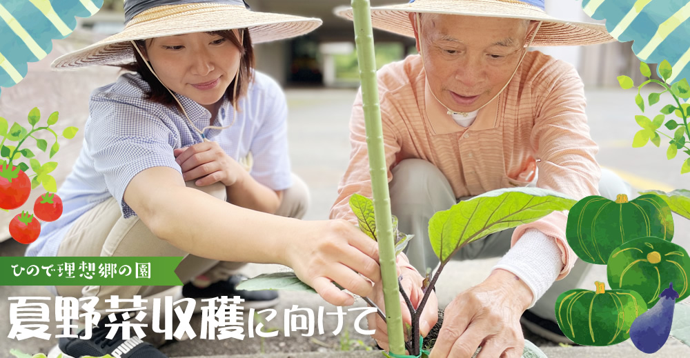 【ひので理想郷の園】夏野菜収穫に向けて