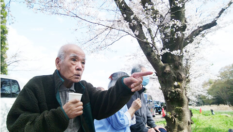 春だ！桜だ！お花見だー！