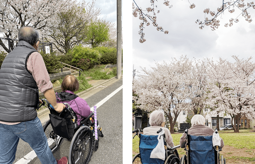 遅咲きの桜を楽しむご利用者さま