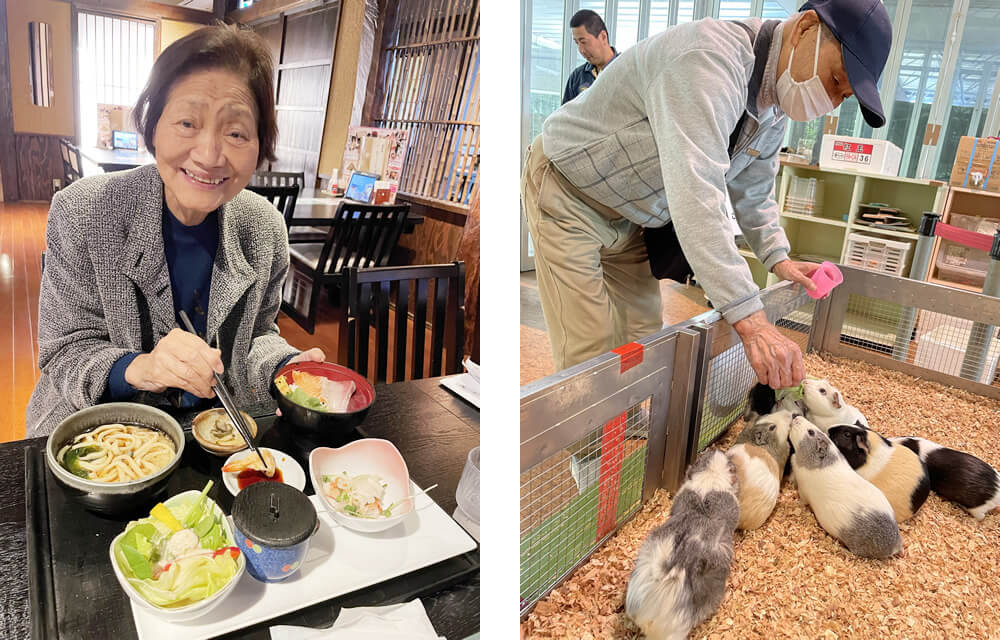 リクエストの和食レストランとモルモットとのふれあい