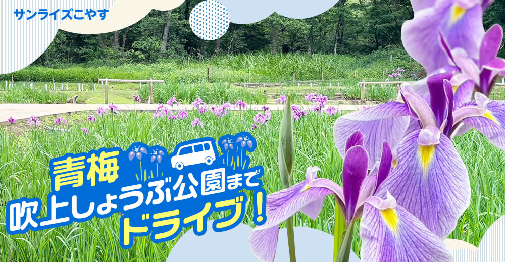 【サンライズこやす】青梅 吹上しょうぶ公園までドライブ！