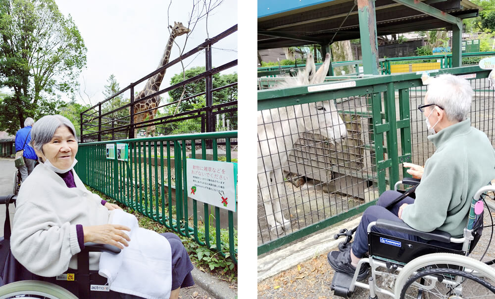 羽村市動物公園で動物をご覧になるご利用者さま