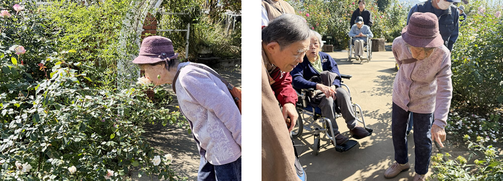 ハーブの効能を教わりながら散策する様子