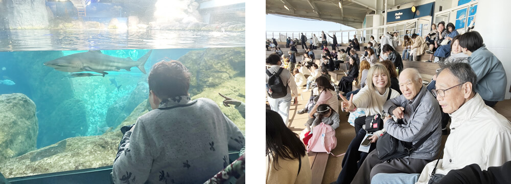 水槽の前のご利用者さま